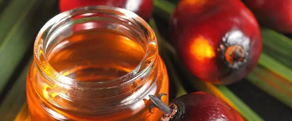 red-palm-oil-2