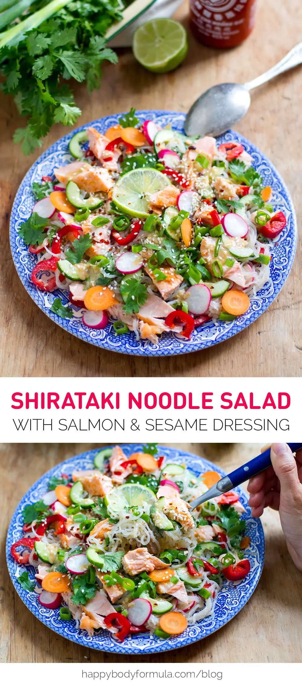 shirataki-konjac-noodle-salad-pin