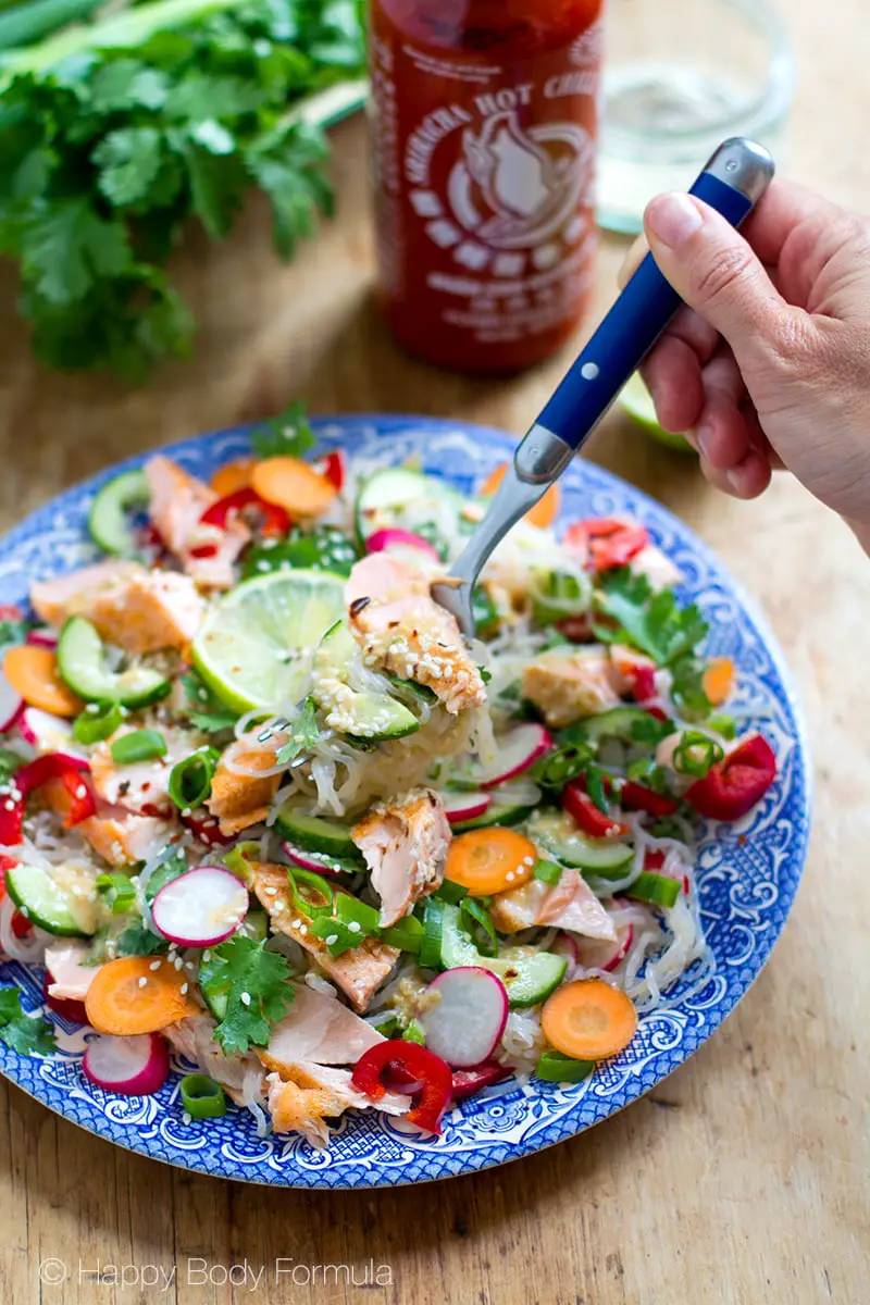 shiratakinoodlesalad800v Happy Body Formula