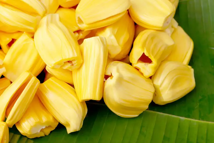 jackfruit-recipes