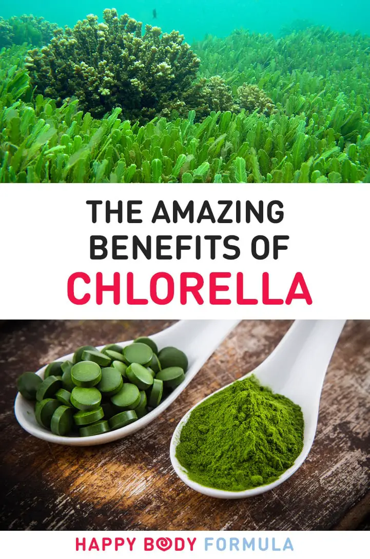 Chlorella Nutrition: 10 Benefits of This Superfood You Can't Ignore | Happybodyformula.com