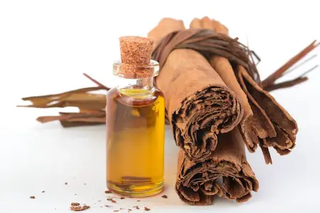 Cinnamon is a Anti-inflammatory