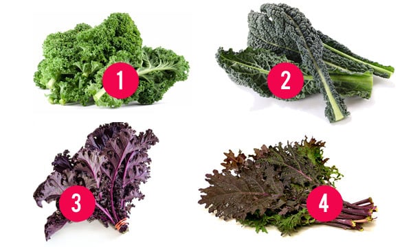 Types of Kale