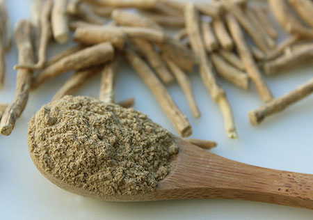 Ashwagandha for athletic performance Ashwagandha for athletic performance