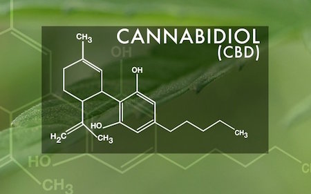 What is CBD oil?