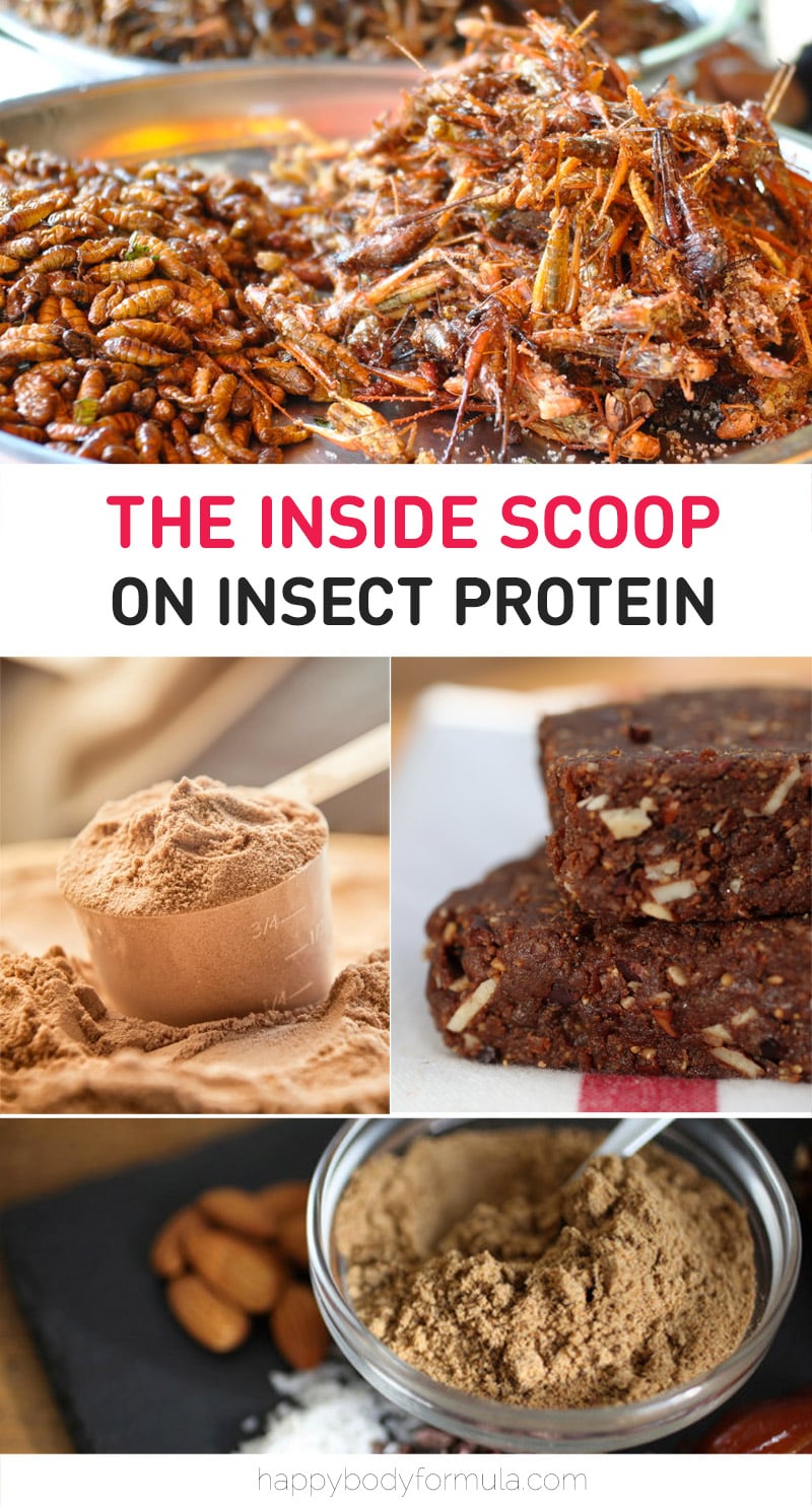 The Inside Scoop On Insect Protein - Benefits, Types and How To Use It | Happybodyformula.com