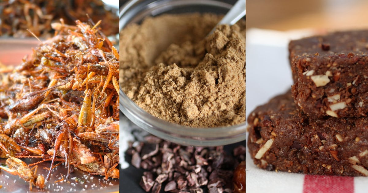 Insect Protein Benefits The Inside Scoop Happy Body Formula