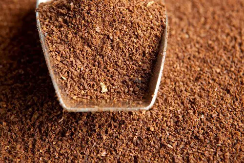 Coffee flour