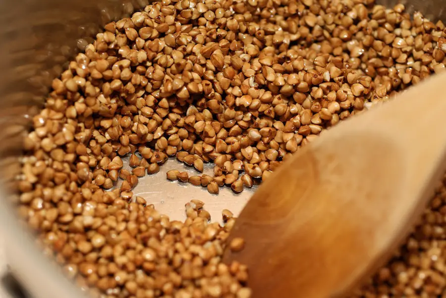 what-is-buckwheat-characteristics-properties-and-much-more-global