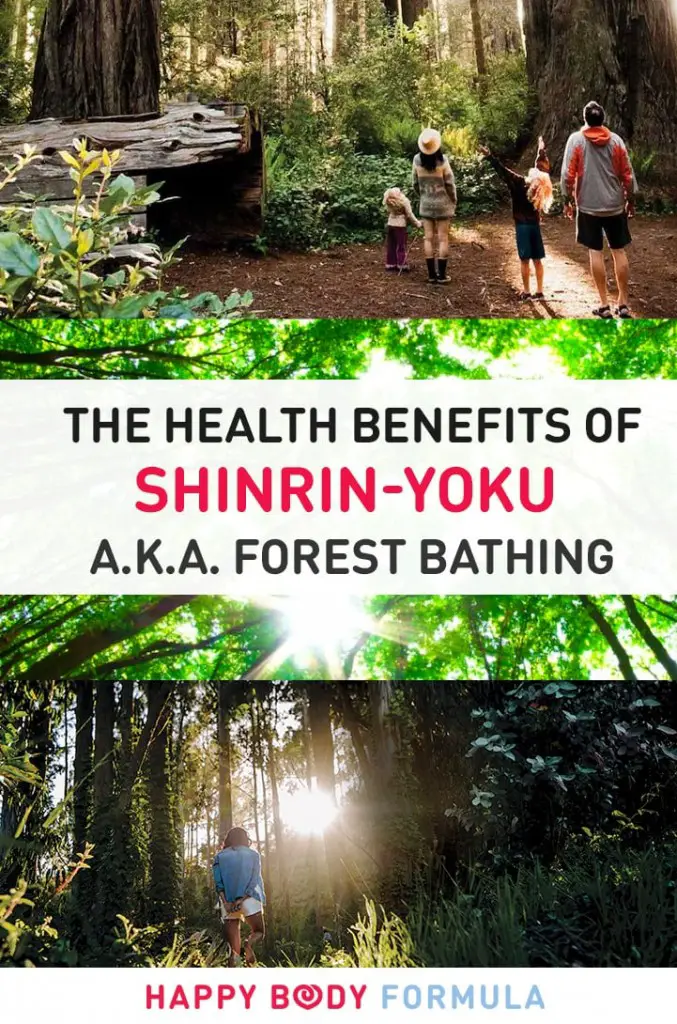 The Benefits Of Shinrin-Yoku (a.k.a. Forest Bathing)