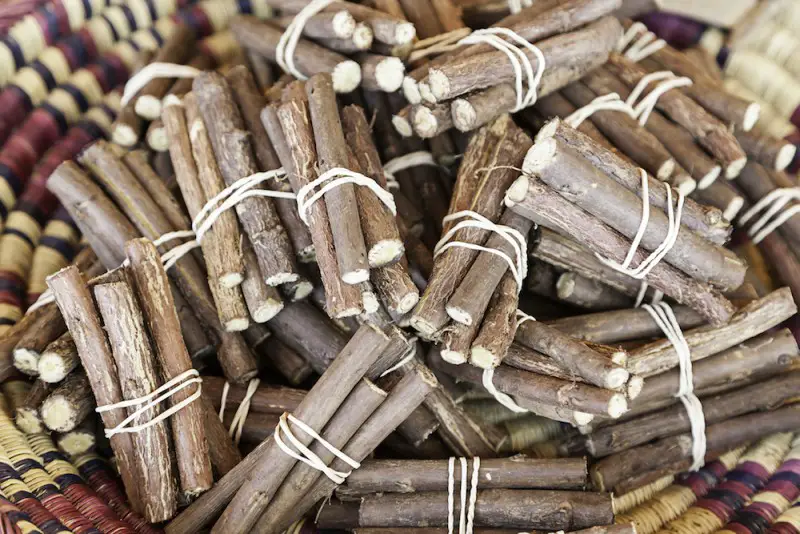 8 Amazing Medicinal Benefits of Licorice Root Happy Body Formula