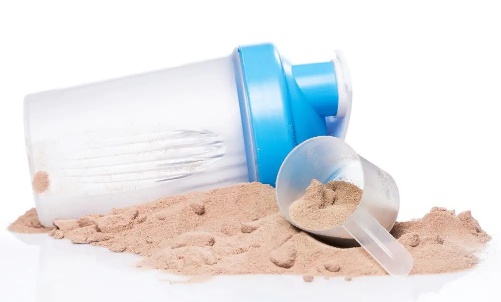 Best Paleo Protein Powders