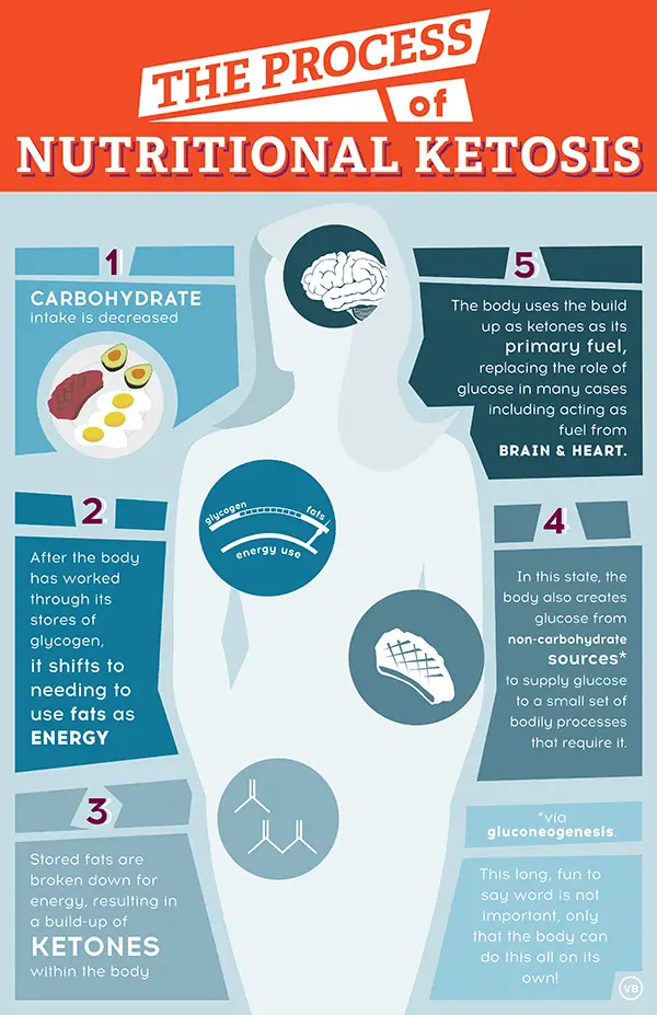 How the keto diet works