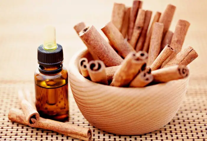 cinnamon-bark-essential-oil