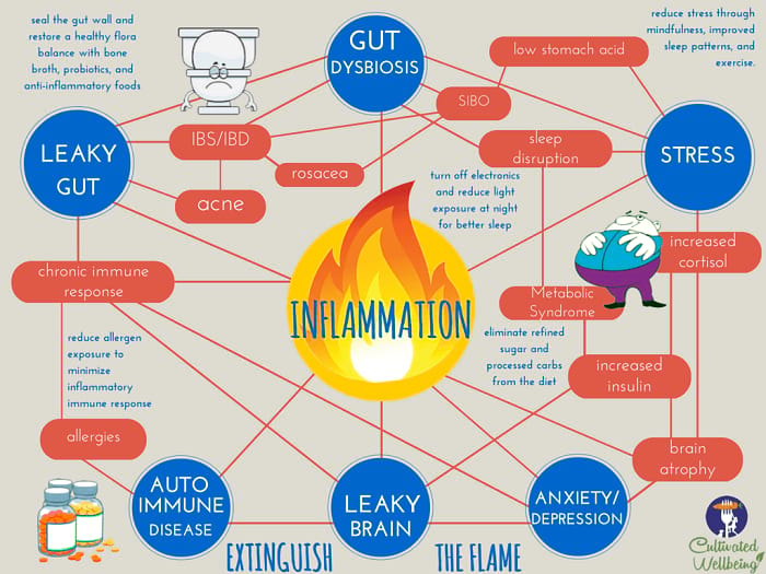 what-is-inflammation-dr-wendi-s-health