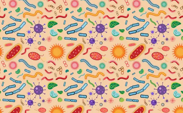 inflammation for Probiotics inflammation for Probiotics