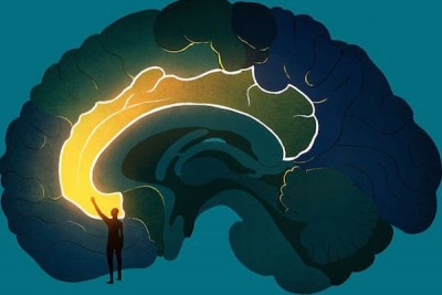 natural-brain-supplements-feature (1)