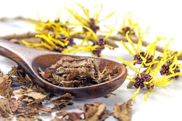 how-to-use-witch-hazel (1)