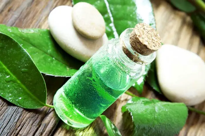 Tea tree Oil Benefits Tea tree Oil Benefits