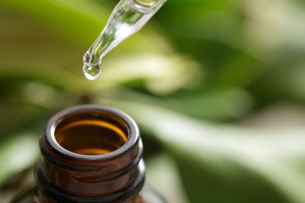 benefits of tea tree oil benefits of tea tree oil