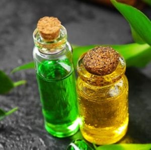 Our Favorite Essential Oil - The Tea Tree Secret