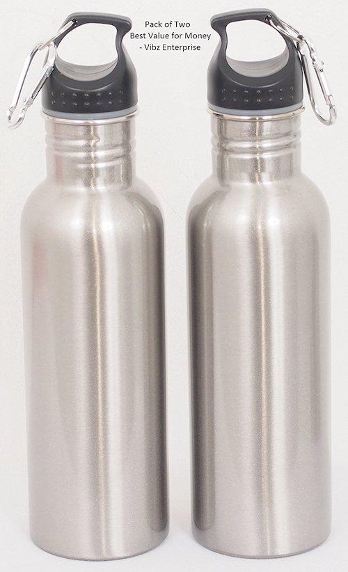 Vibz Enterprise BPA Free Metal Water Bottle