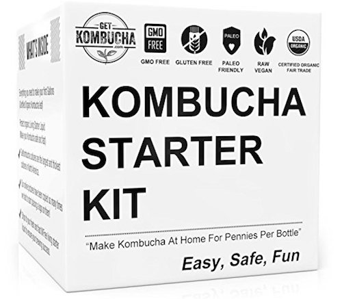 GetKombucha Starter Kit