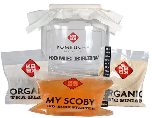 Kombucha Brooklyn Home Brew Kit