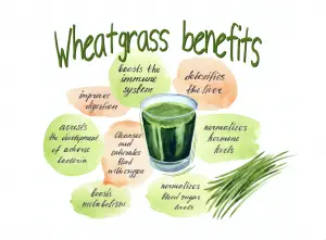 Wheatgrass benefits