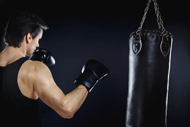 top-10-best-punching-bags-reviewed-in-2021-happy-body-formula