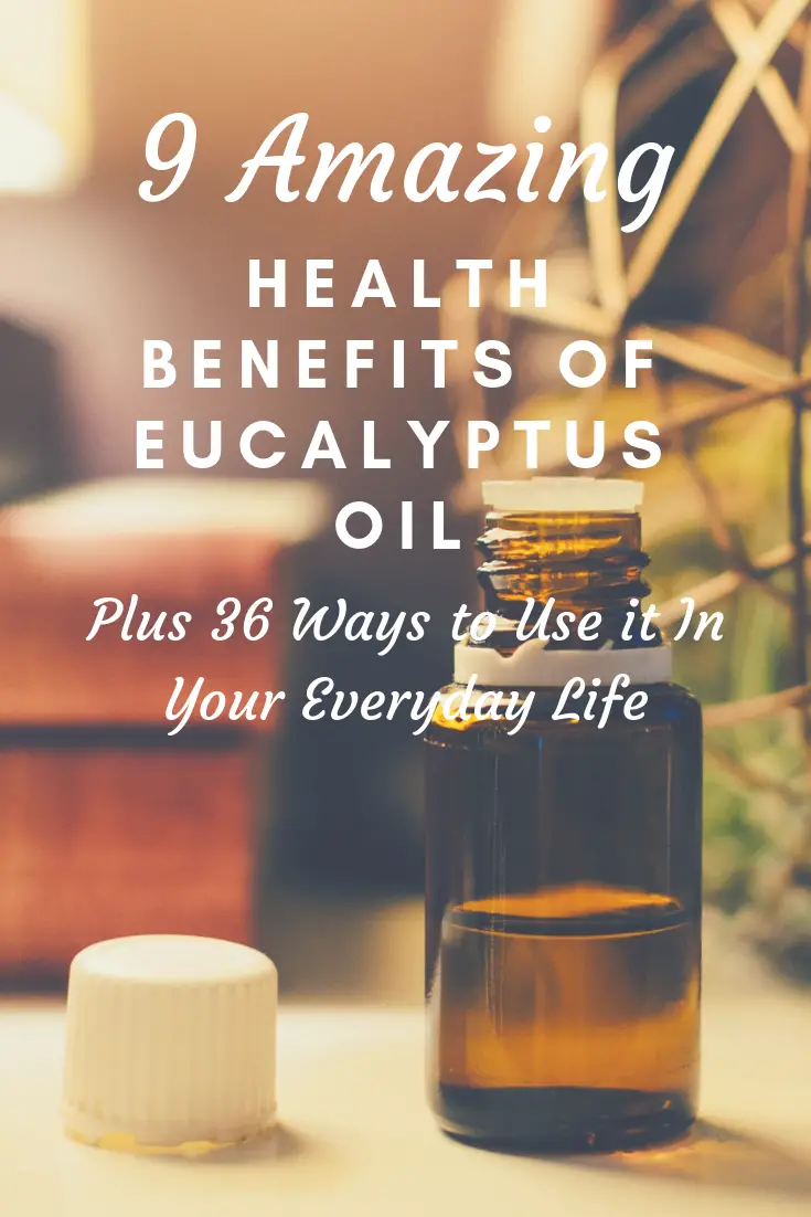 9 Amazing Health Benefits Of Eucalyptus Oil (Plus 36 Ways To Use It In ...