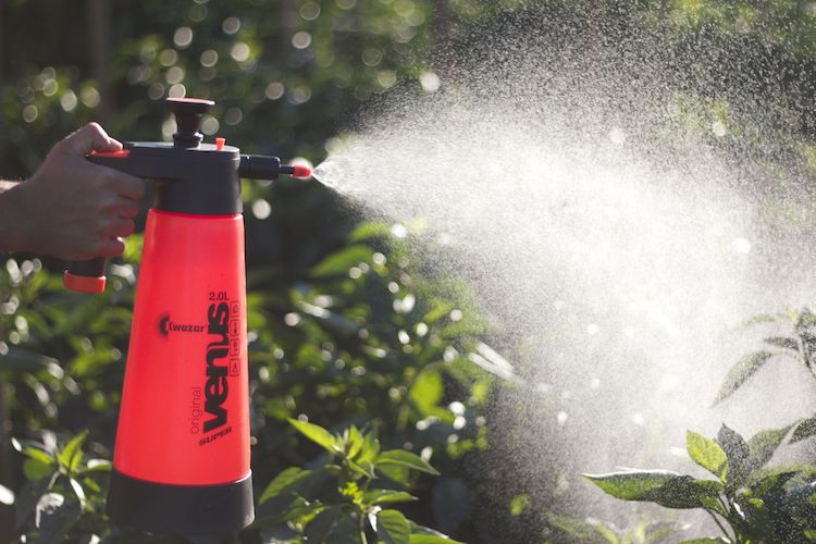 Top 10 Best Garden Sprayers Reviewed In 2020 Happy Body Formula