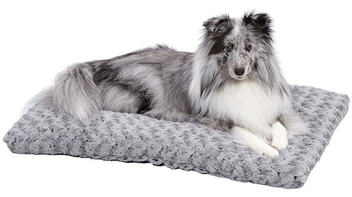 Midwest Homes for Pets Deluxe Pet Bed