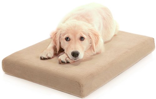 Milliard Orthopedic Memory Foam Dog Bed
