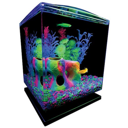 GloFish Aquarium