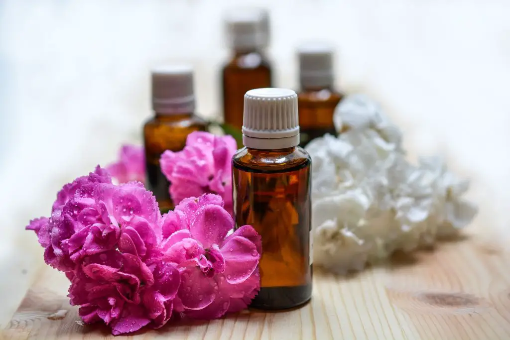 Rosehip Oil Benefits