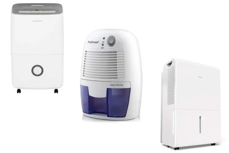 Top 10 Best Dehumidifiers Reviewed in 2021 Happy Body Formula