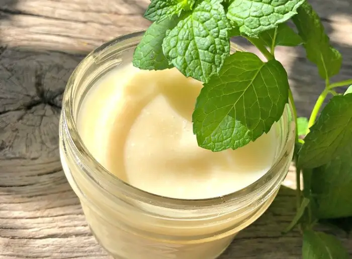 MANGO-LIME & SPEARMINT NATURAL DEODORANT