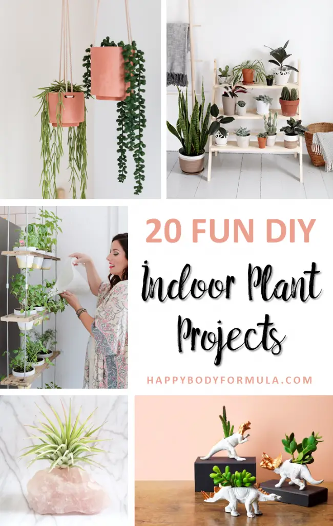 20 Fun DIY Indoor Plant Ideas for Beginners | HappyBodyFormula.com