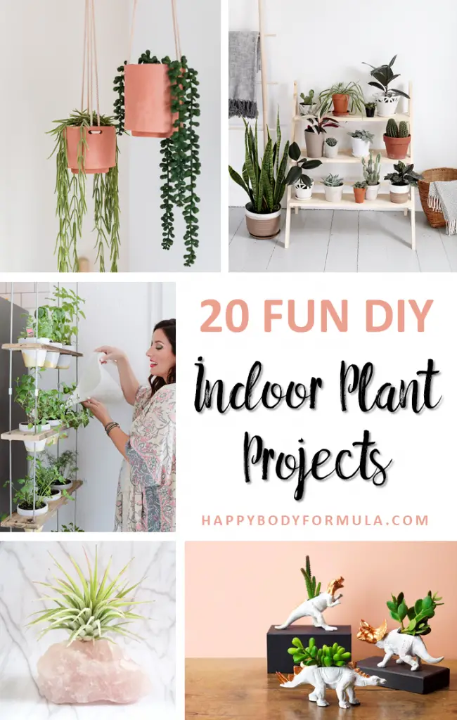 20 Fun DIY Indoor Plant Ideas for Beginners – Happy Body Formula