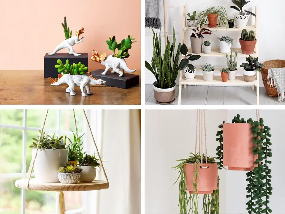 DIY Indoor Plant Ideas
