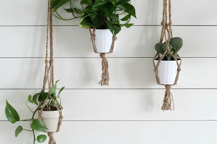 MACRAME PLANT HANGER