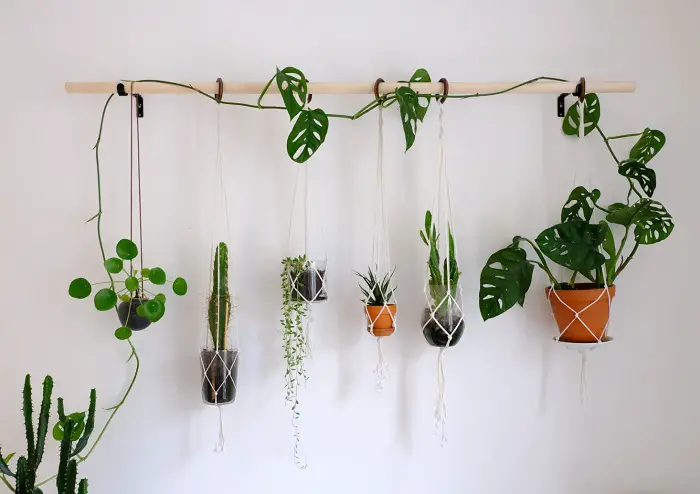 PLANT WALL MADE