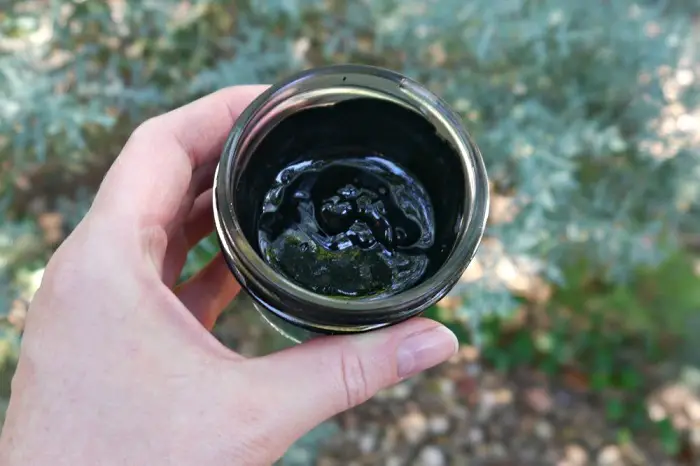 ACTIVATED CHARCOAL HEALING SALVE