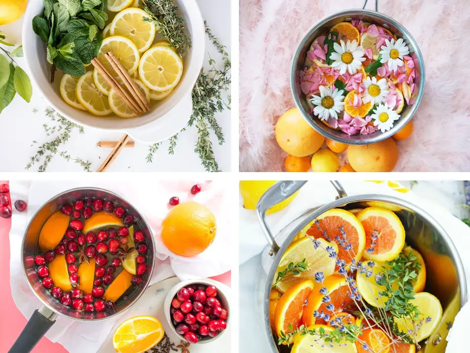 10 Simmer Pot Recipes for a Beautiful Smelling Home - Going Zero Waste