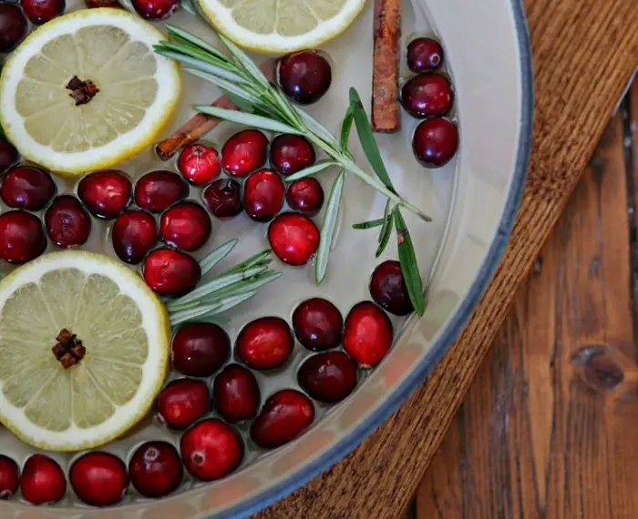 HOLIDAY SIMMER POT