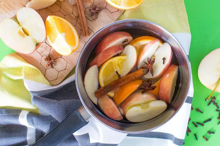 APPLE CINNAMON SIMMER POT