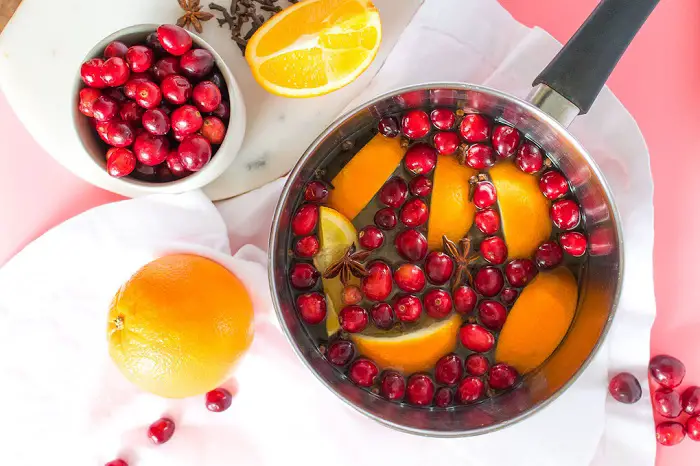 SPICED CRANBERRY SIMMER POT