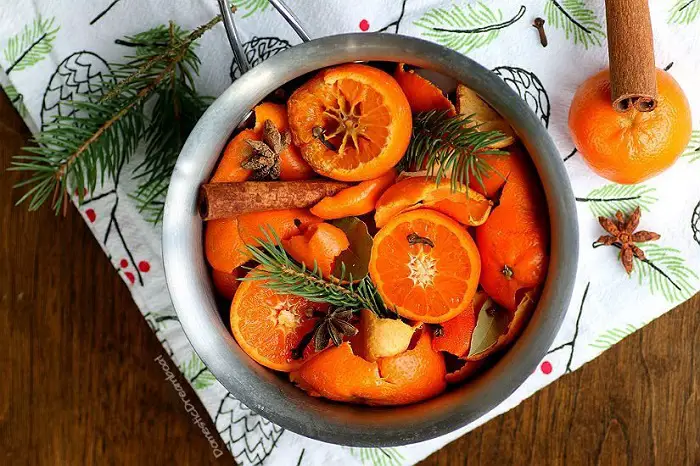 10 Citrus Inspired Simmer Pot Recipes –