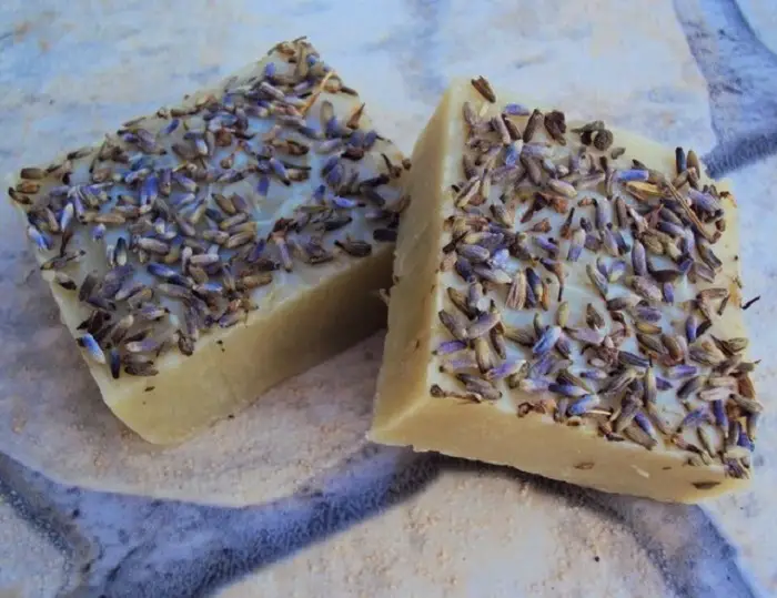 SHAMPOO BAR WITH LAVENDER AND CLAY